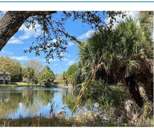 Lake Street, Yankeetown, Florida image 5