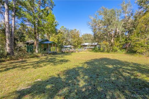 A home in Gulf Hammock