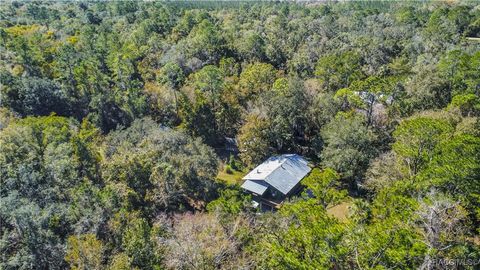 A home in Gulf Hammock