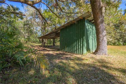 A home in Gulf Hammock