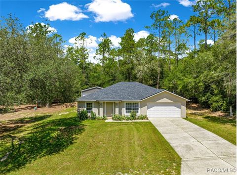 1423 W Hawk Lane Citrus Springs FL 34434