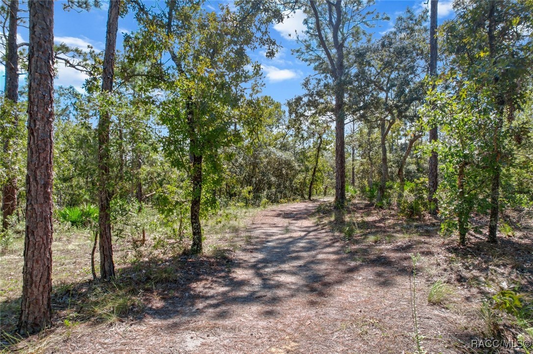4716 W Herman Court, Homosassa, New York image 4