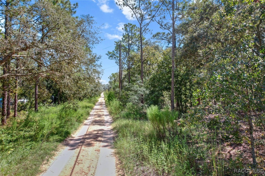 4716 W Herman Court, Homosassa, New York image 3