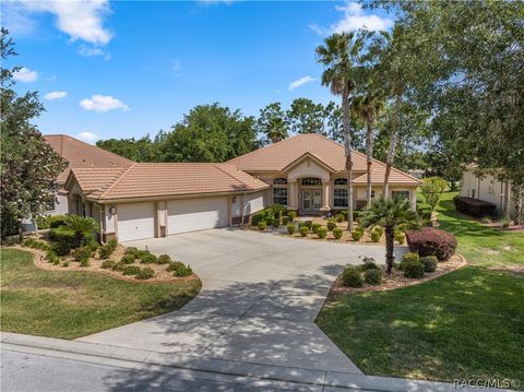 A home in Hernando