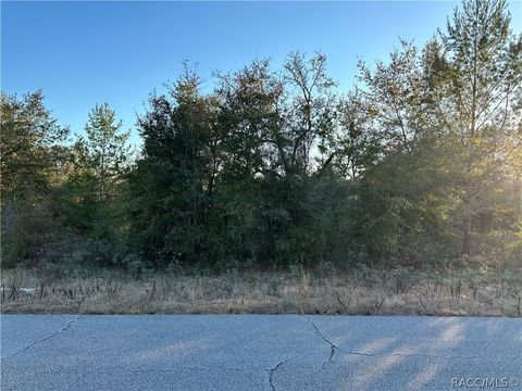 Vacant Land For Sale - Clarion Street<br/> Washington County, Chipley, FL 32428