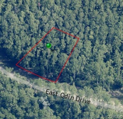 Vacant Land For Sale - 1345 E Odin Drive<br/> Dunnellon, FL 34434