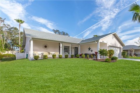 A home in Spring Hill