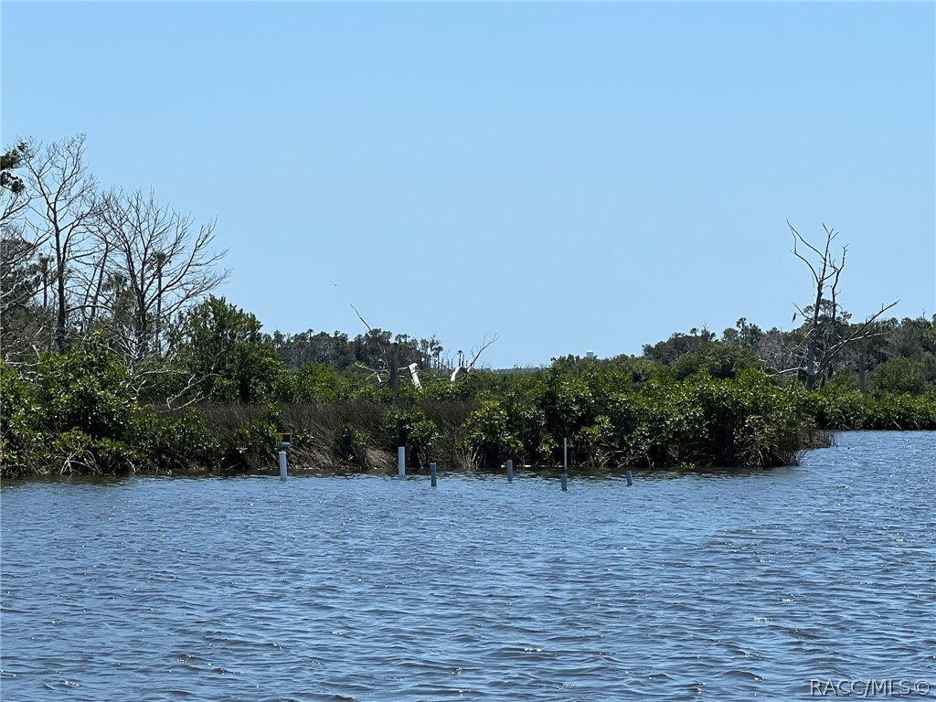 102 Carnahans Island, Crystal River, Florida image 1