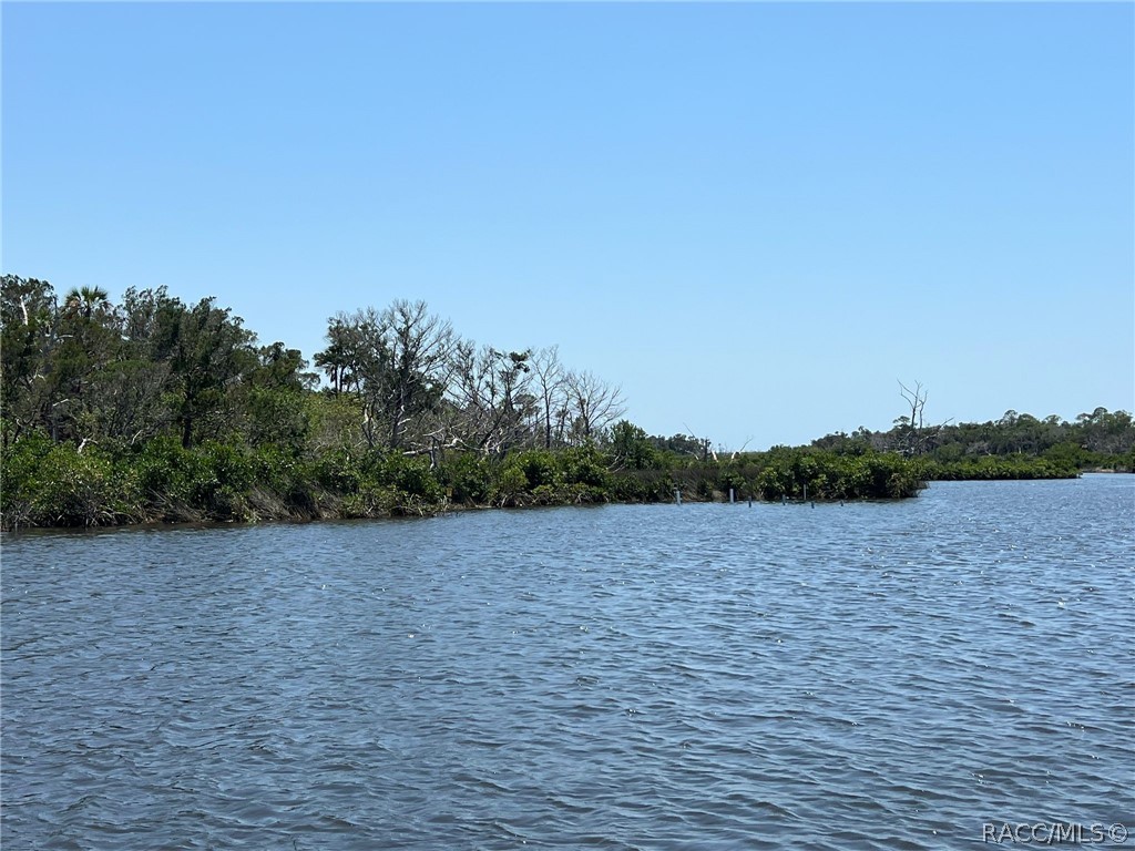 102 Carnahans Island, Crystal River, Florida image 11