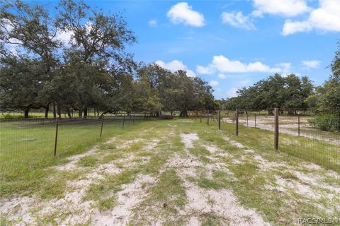 A home in Homosassa