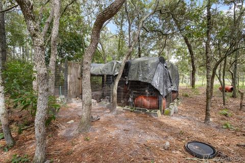 A home in Homosassa