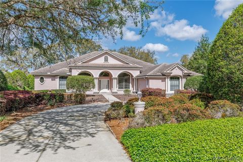 1905 N Eagle Chase Drive Hernando FL 34442