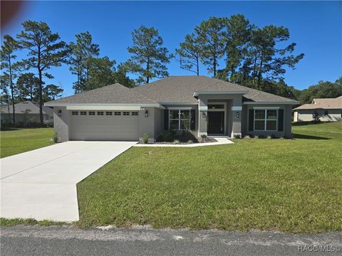 Homes For Sale - 4 Cyclamen Court<br/> Homosassa, FL 34446