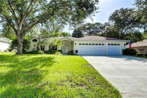 A home in Homosassa