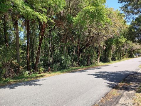 Vacant Land For Sale - 755 NE 1st Terrace<br/> Crystal River, FL 34429