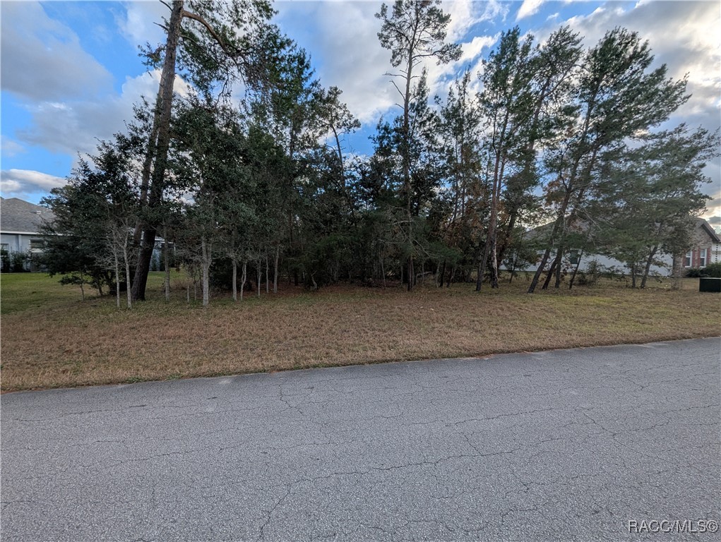 26 Candytuft Court, Homosassa, New York image 4