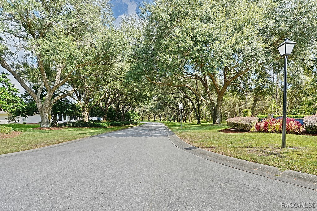 389 W Hillmoor Lane, Beverly Hills, Florida image 4