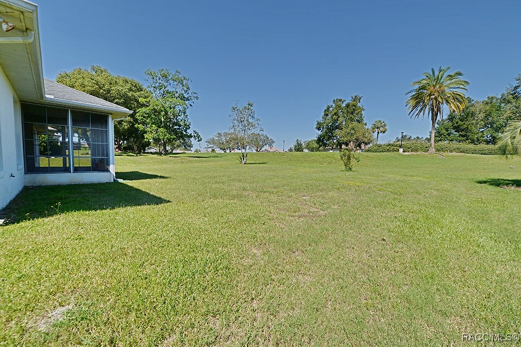 389 W Hillmoor Lane, Beverly Hills, Florida image 38