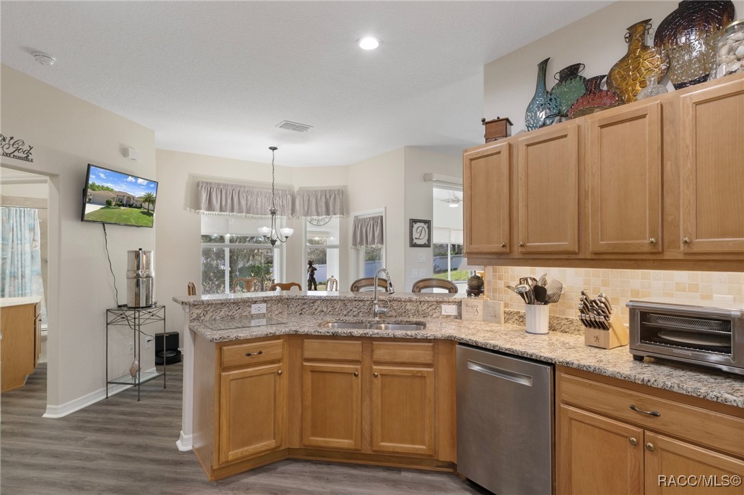 374 W Cobblestone Loop, Hernando, Florida image 17