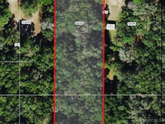 2235 W Main Street, Inverness, Florida image 3