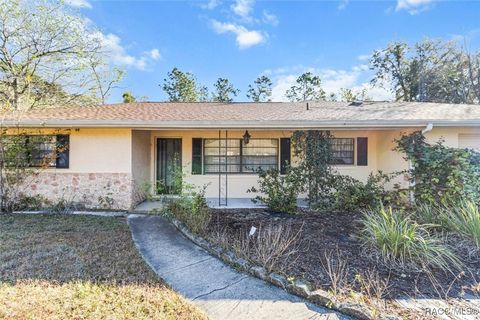 12051 S Hyacinth Point Floral City FL 34436