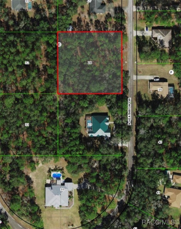 665 N Heathrow Drive, Lecanto, Florida image 2