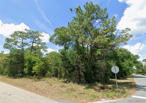 Vacant Land For Sale - 12350 S Gladiolus Point<br/> Floral City, FL 34436
