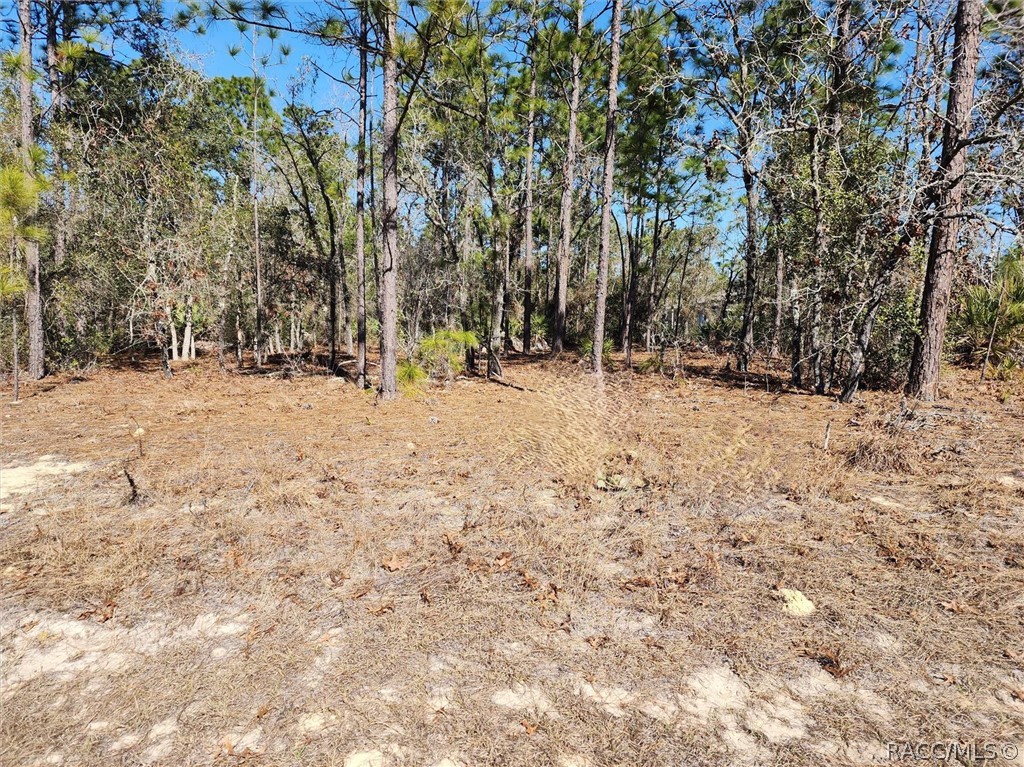 Photo 1 of 1 — 3753 W Lon Lane, Other, FL 34433