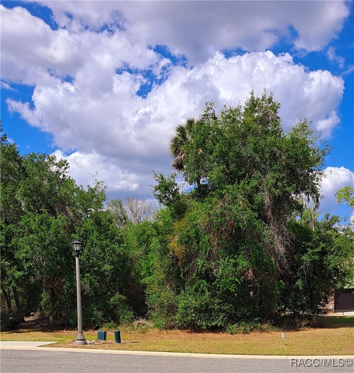 470 W Cobblestone Loop, Hernando, Florida image 1