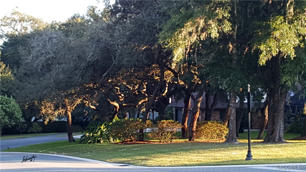 470 W Cobblestone Loop, Hernando, Florida image 5