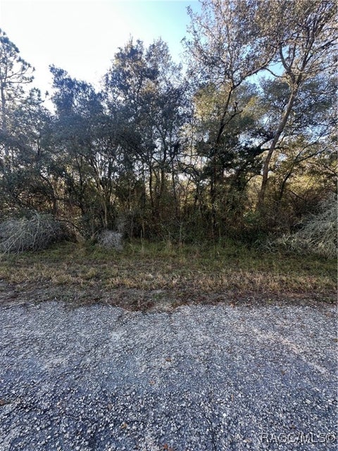 Homes For Sale - 3908 W Tropic Lane<br/> Dunnellon, FL 34433