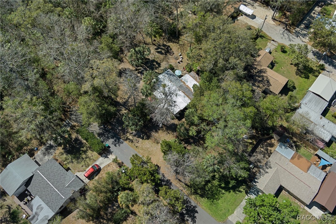 5368 S Parkland Terrace, Homosassa, Florida image 37