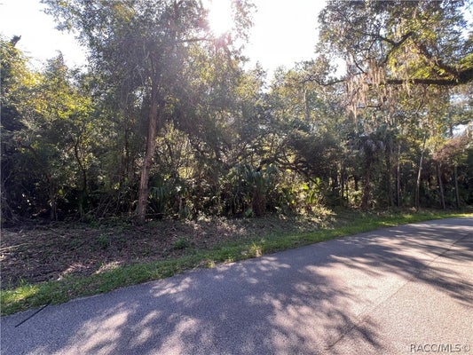 7923 N BITTEROOT DR, CRYSTAL RIVER, FL 34428 - Image 52091e33dd3a0904c1e7e71d9e5d31bb/3925866907