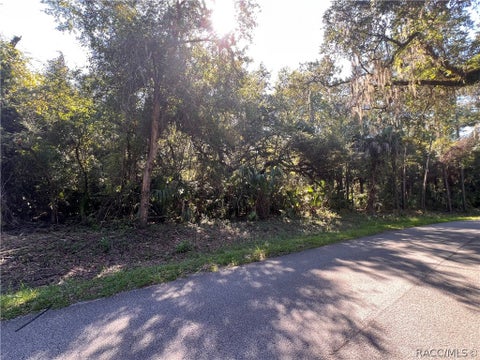 Vacant Land For Sale - 7923 N Bitteroot Drive<br/> Crystal River, FL 34428