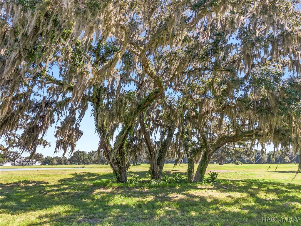 TBD (Lot 27-W) SW 38th Loop, Dunnellon, Florida image 13