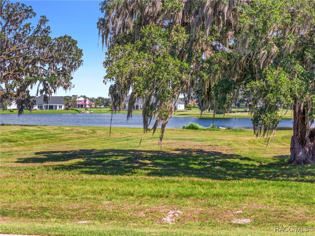 TBD (Lot 27-W) SW 38th Loop, Dunnellon, Florida image 10