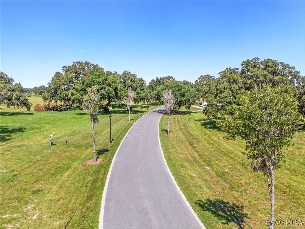 TBD (Lot 27-W) SW 38th Loop, Dunnellon, Florida image 12