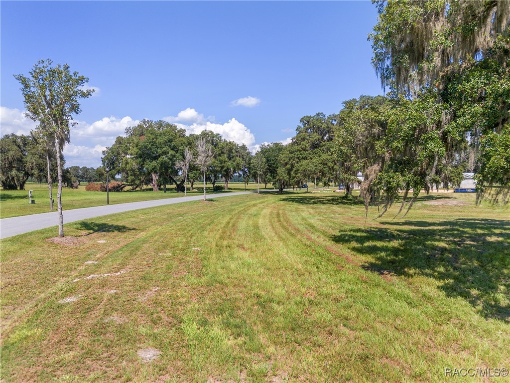 TBD (Lot 27-W) SW 38th Loop, Dunnellon, Florida image 8