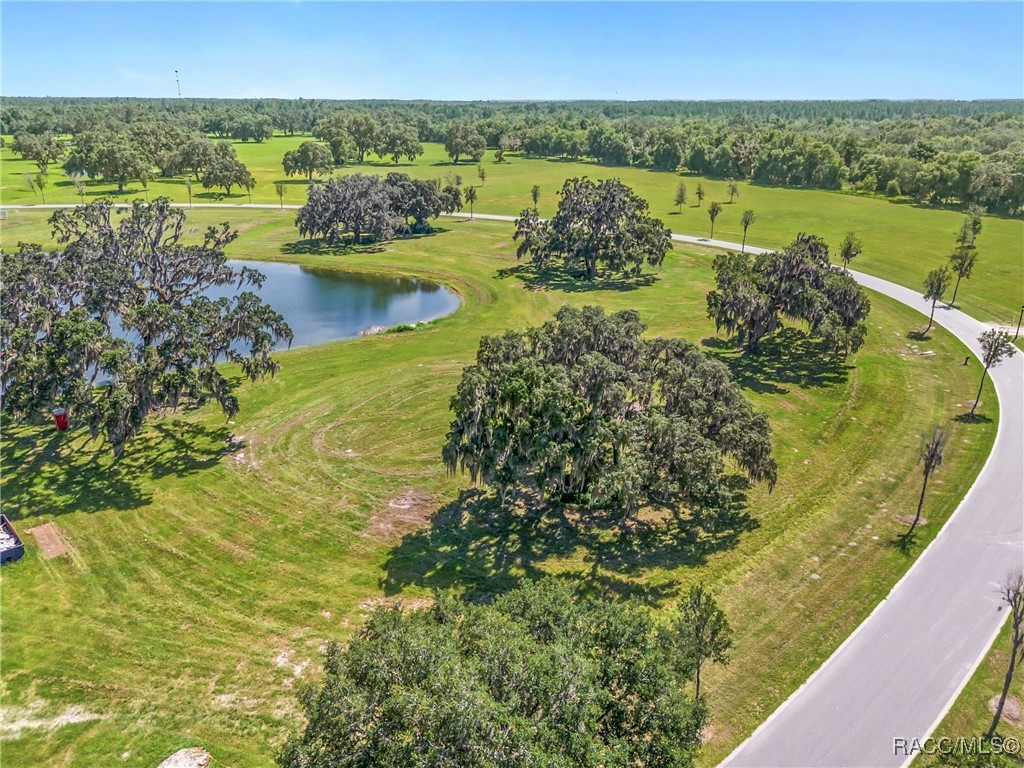 TBD (Lot 27-W) SW 38th Loop, Dunnellon, Florida image 14