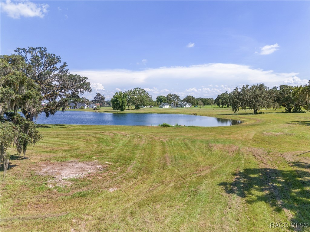 TBD (Lot 27-W) SW 38th Loop, Dunnellon, Florida image 9