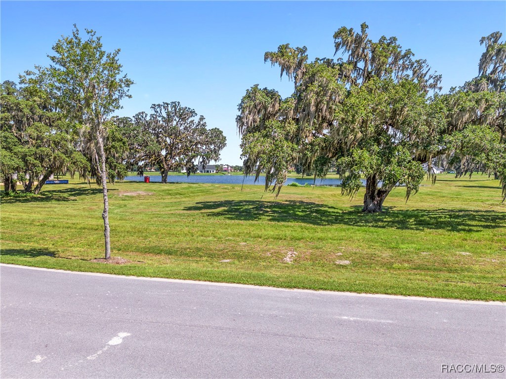 TBD (Lot 27-W) SW 38th Loop, Dunnellon, Florida image 11