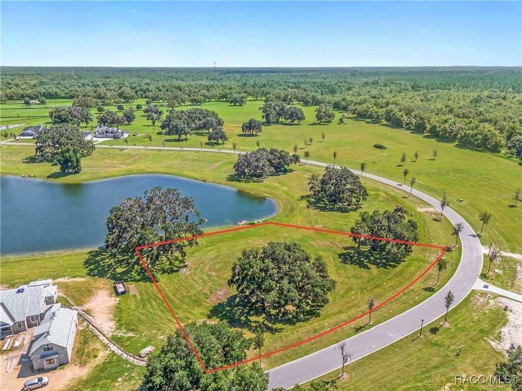 TBD (Lot 27-W) SW 38th Loop, Dunnellon, Florida image 3