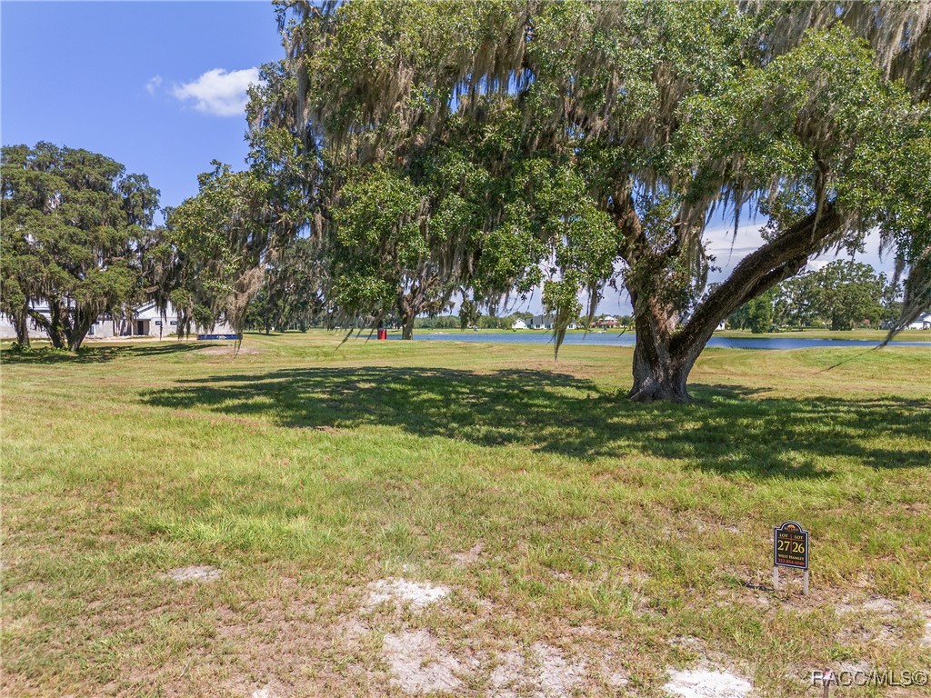 TBD (Lot 27-W) SW 38th Loop, Dunnellon, Florida image 7