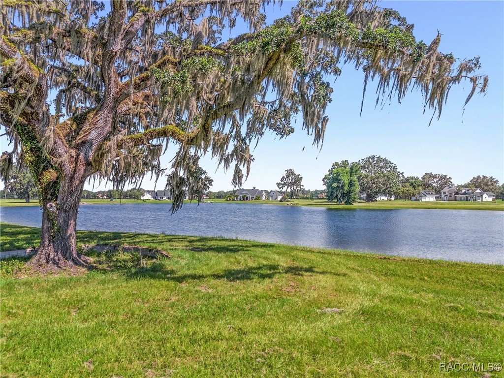 TBD (Lot 27-W) SW 38th Loop, Dunnellon, Florida image 1