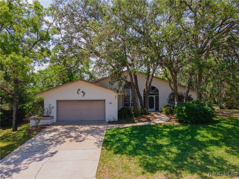 18 S Dahlia Court Homosassa FL 34446