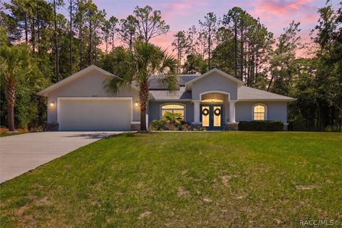 Homes For Sale - 5467 N Red Ribbon Point<br/> Beverly Hills, FL 34465