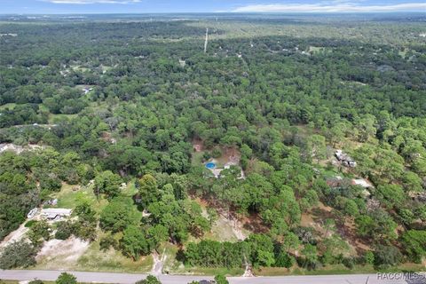 A home in Homosassa