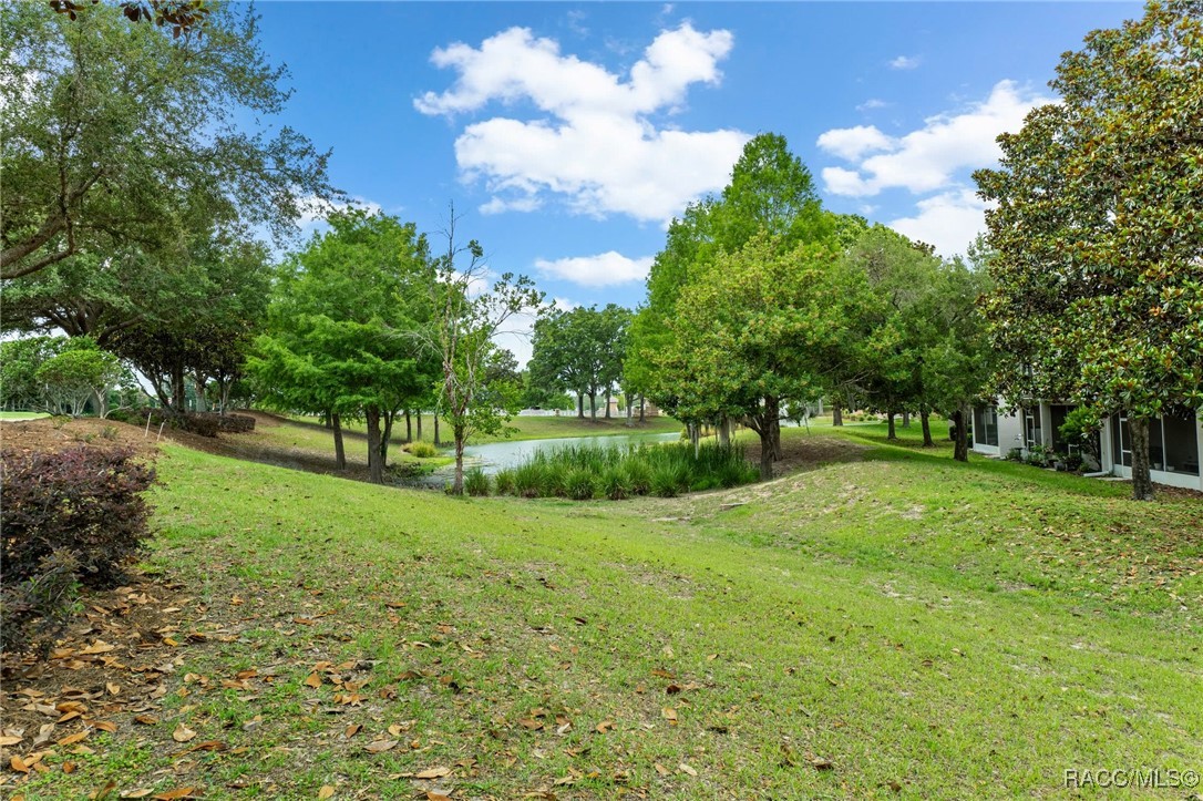 1646 W Spring Meadow Loop, Lecanto, New York image 29