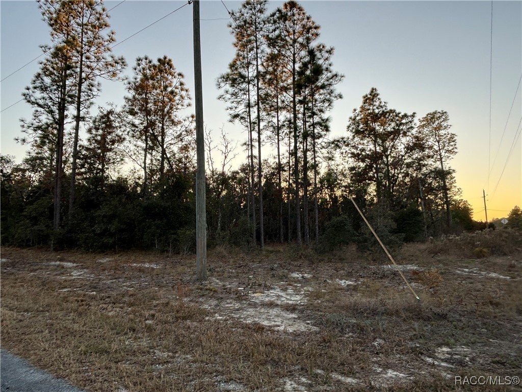 TBD SW Sea Cliff Avenue, Dunnellon, Florida image 1