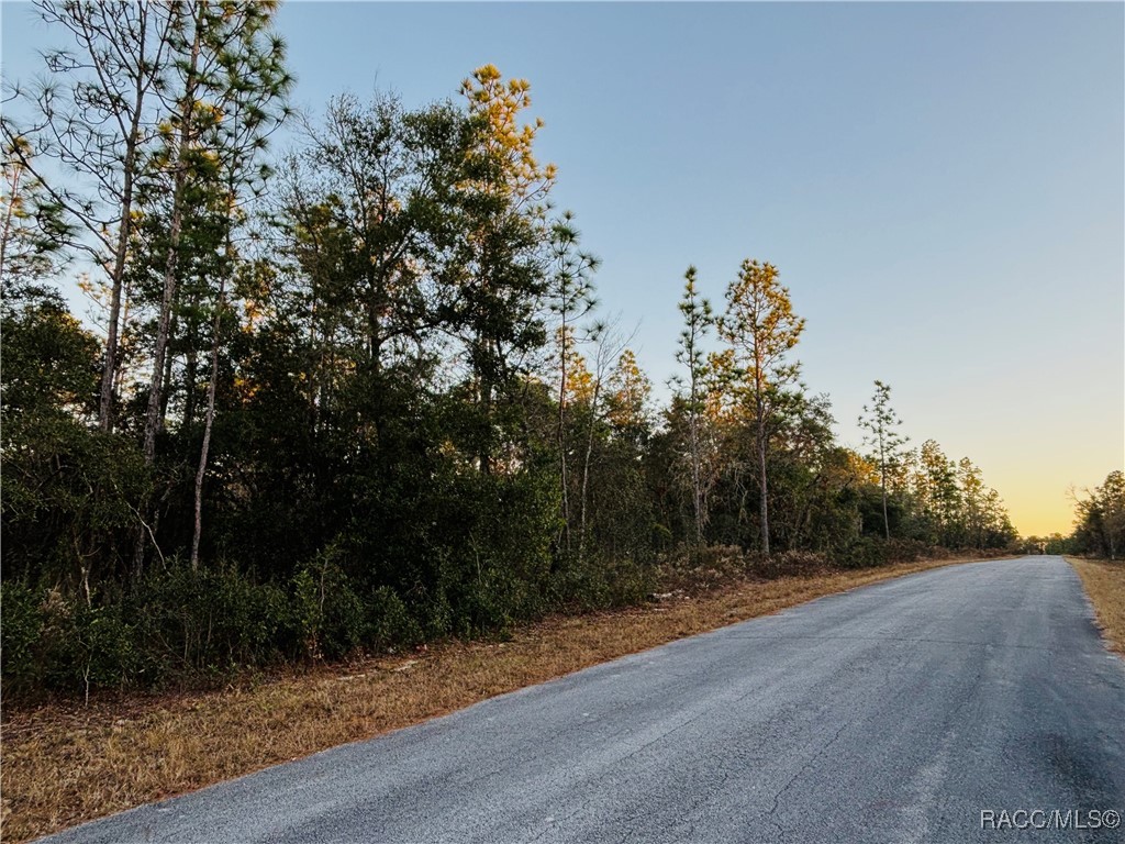 TBD SW Sea Cliff Avenue, Dunnellon, Florida image 3